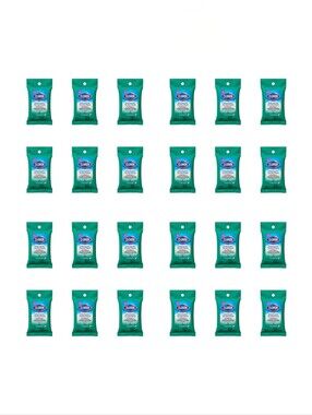 24 Packs of 9 count Clorox To Go Wipes - 216 wipes total